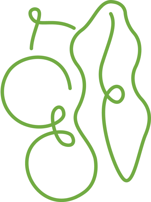 loop pear squash