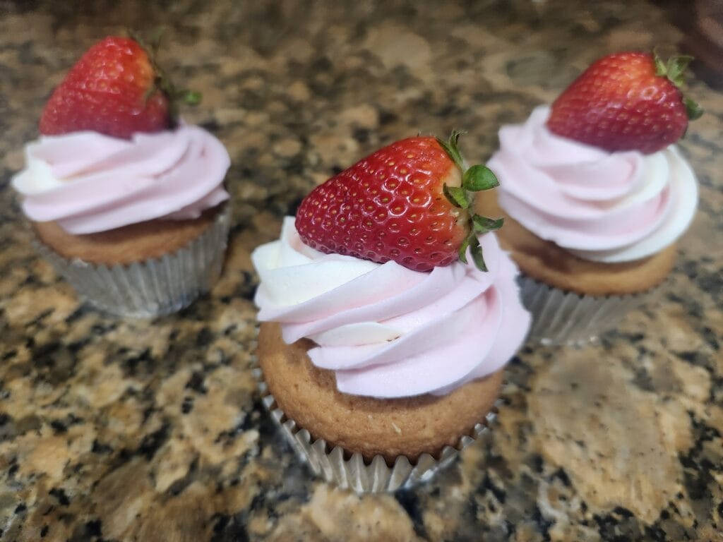 Gourmet cupcakes