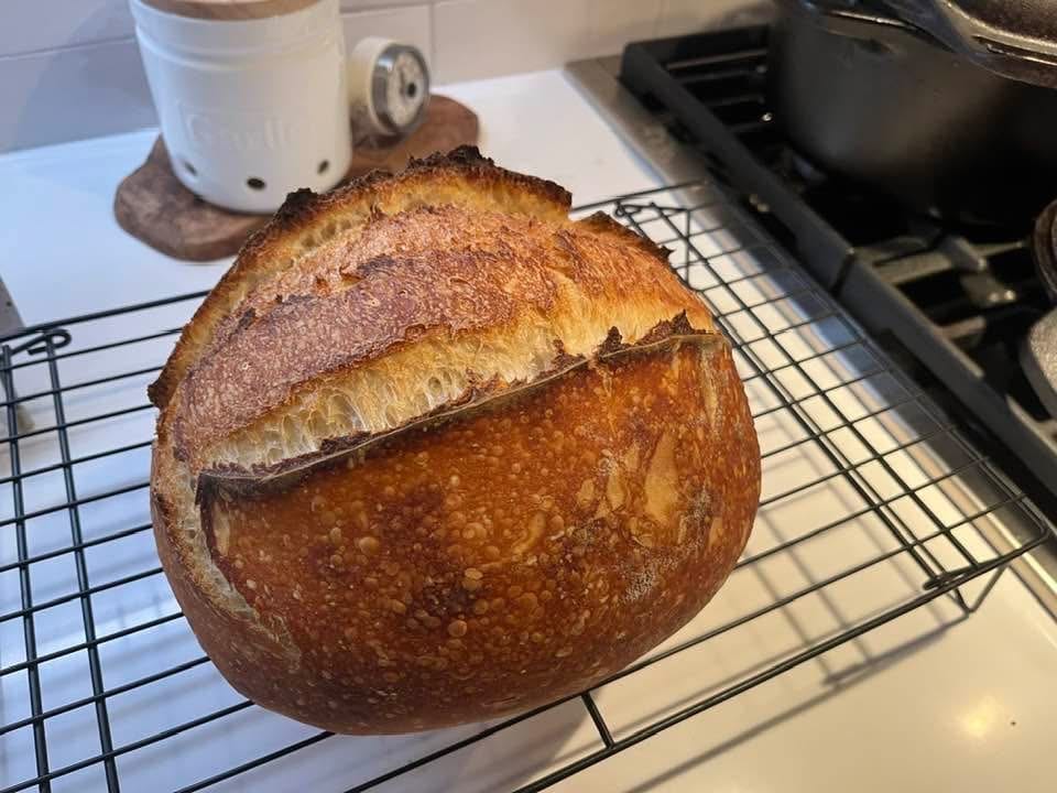 Sourdough Loaf