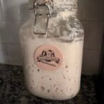 LIVE Sourdough Starter