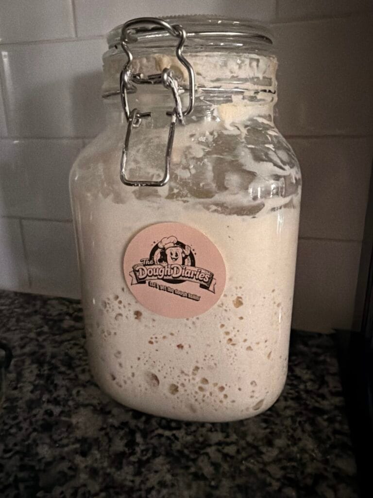 LIVE Sourdough Starter