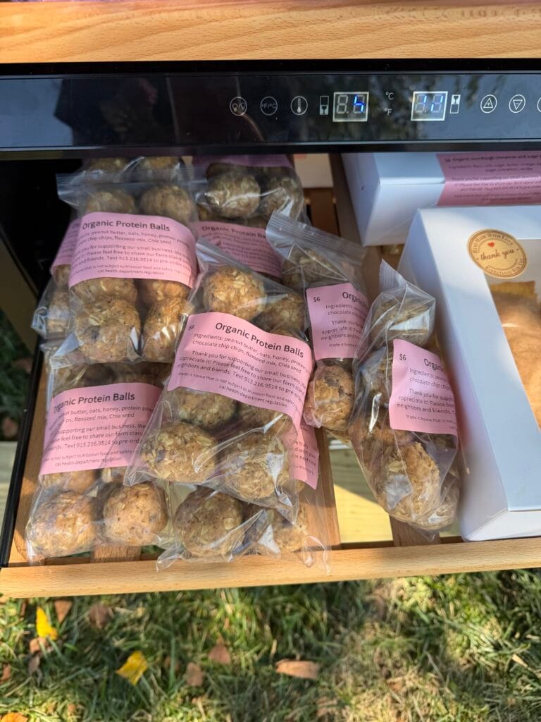 Organic Protein Balls