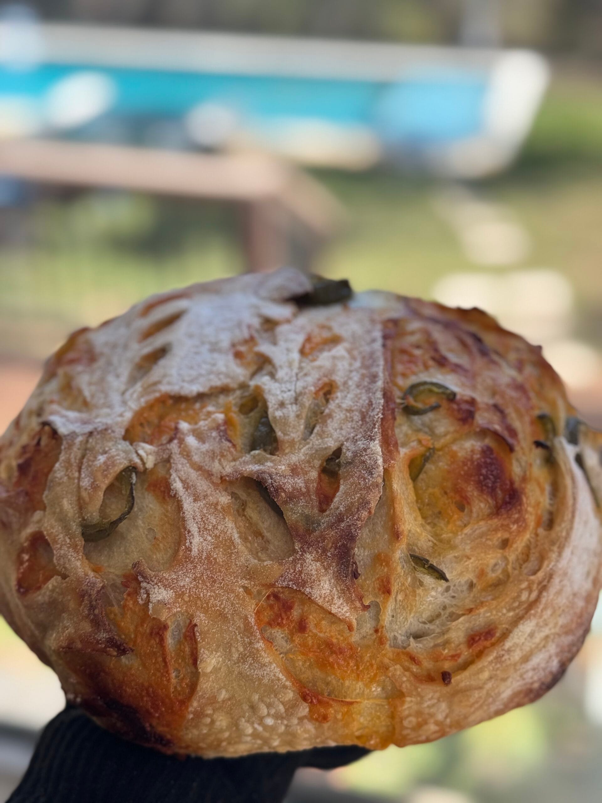 Jalapeno Cheddar Sourdough Round 2 Jalapeno Cheddar Sourdough Round