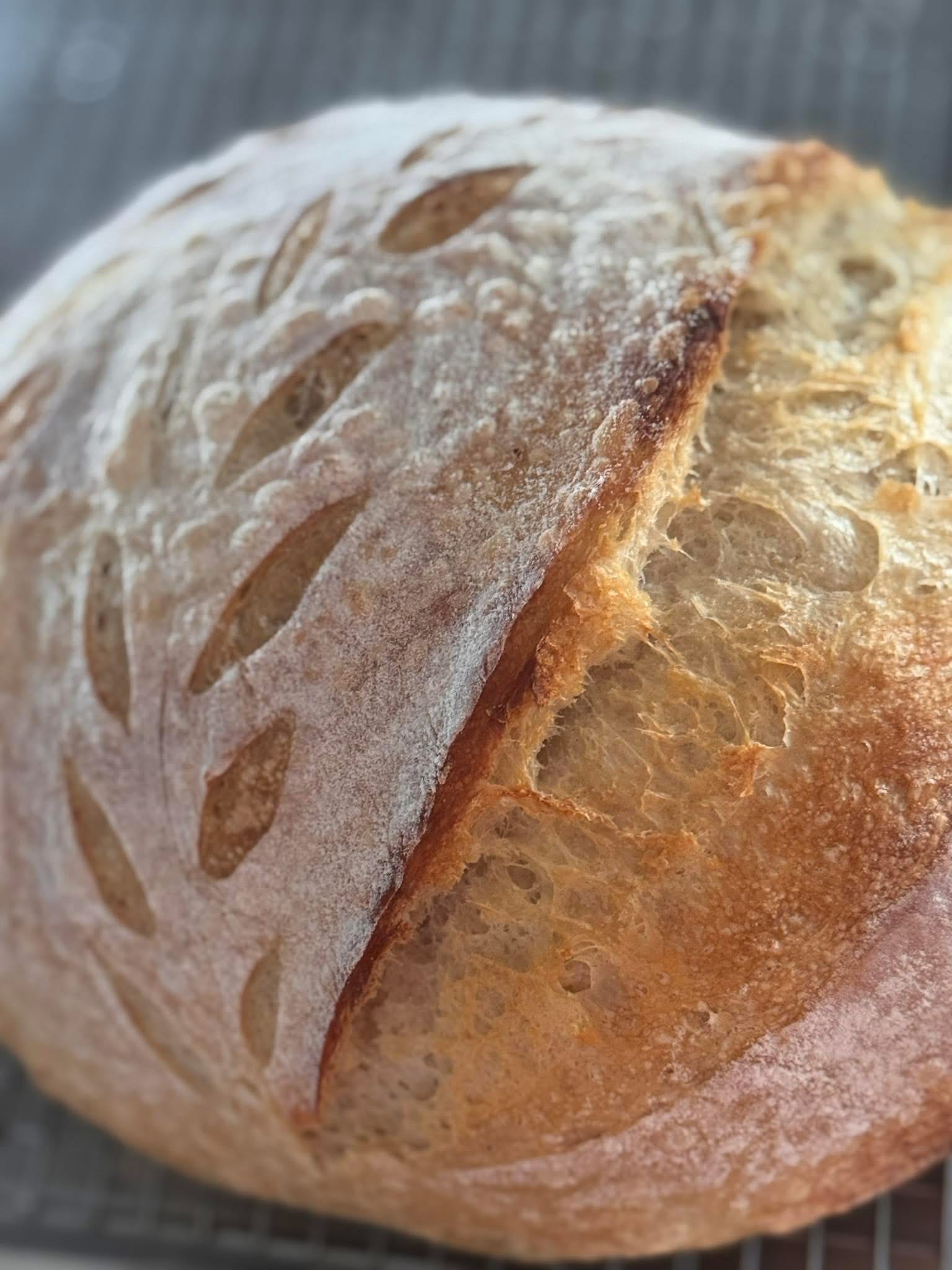 Original Sourdough Round 2 Original Sourdough Round