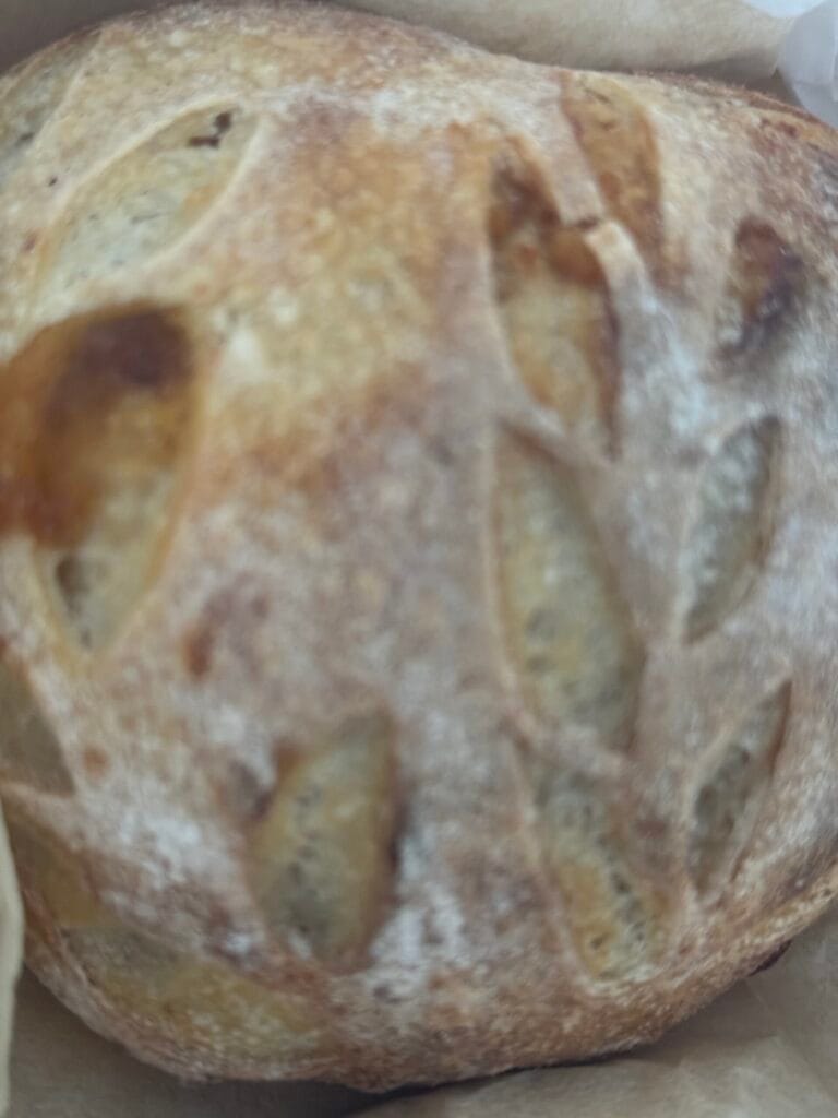 Caramelized Onion Asiago