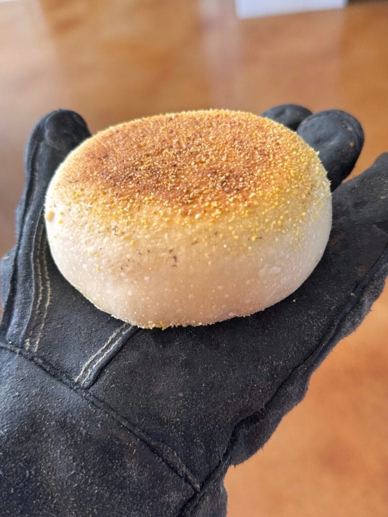 Sourdough English Muffins