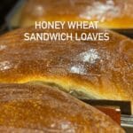 Whole Wheat Sandwich Loaf
