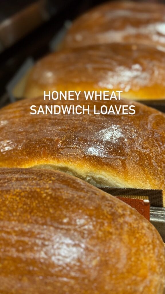 Whole Wheat Sandwich Loaf