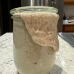 Sourdough Starter
