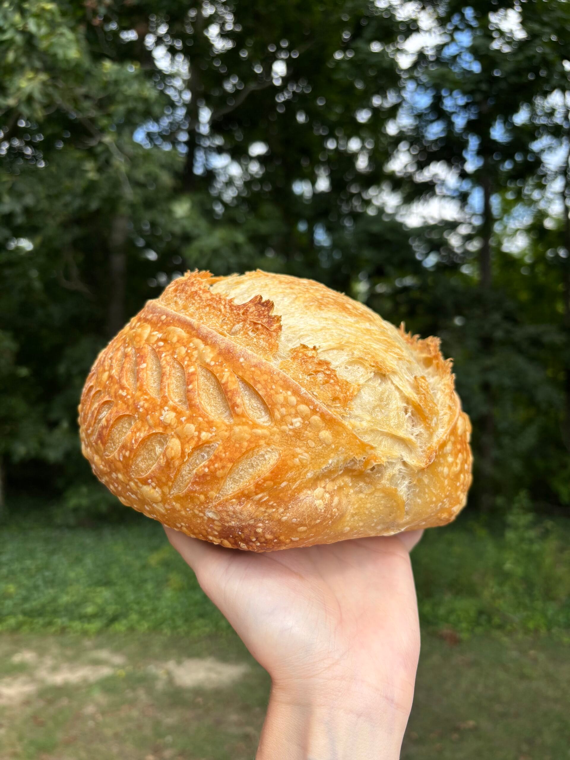 Traditional sourdough artisan loaf 2 Traditional sourdough artisan loaf