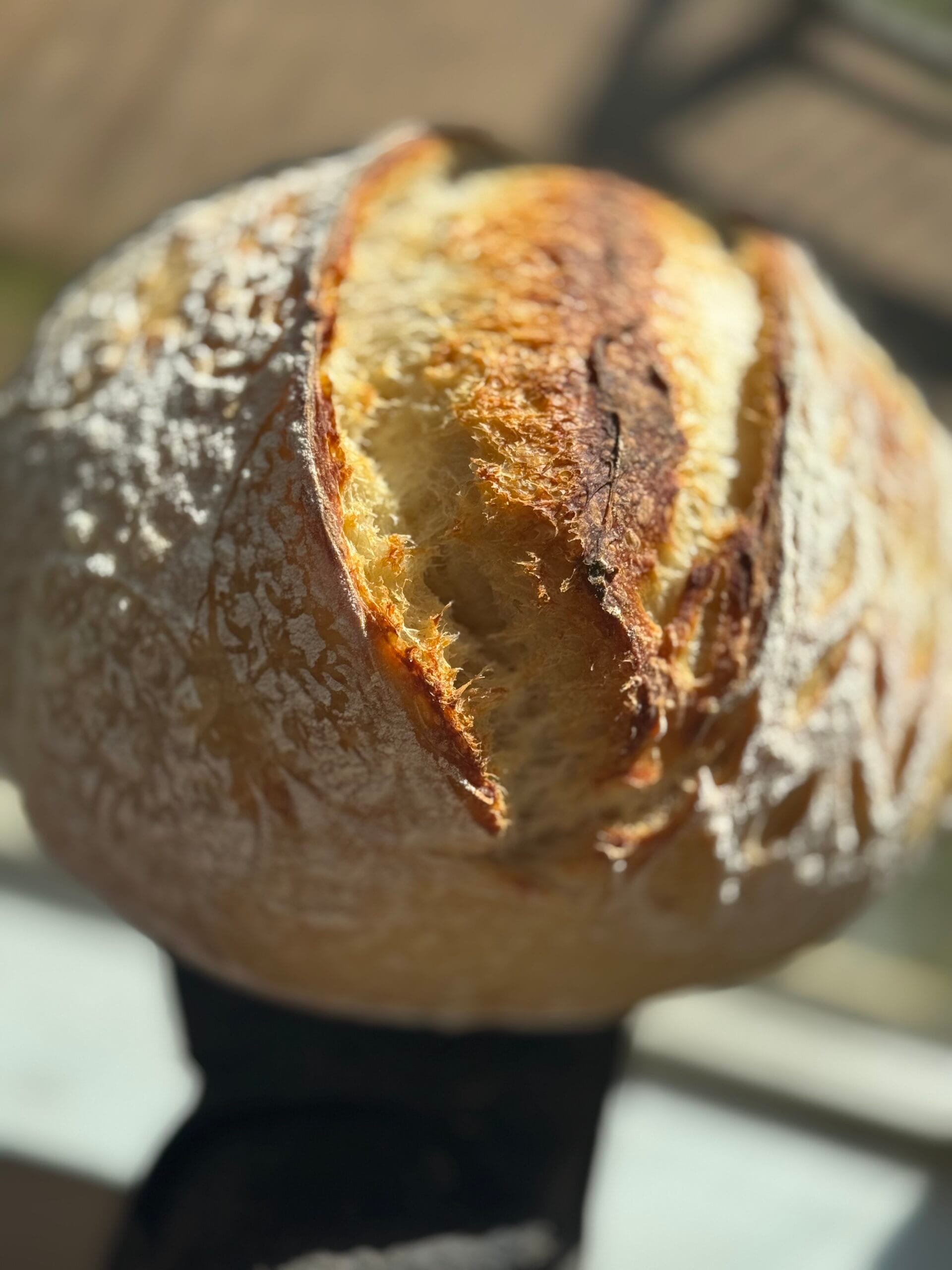 Cracked Pepper and Parmesan Sourdough Round 2 Cracked Pepper and Parmesan Sourdough Round