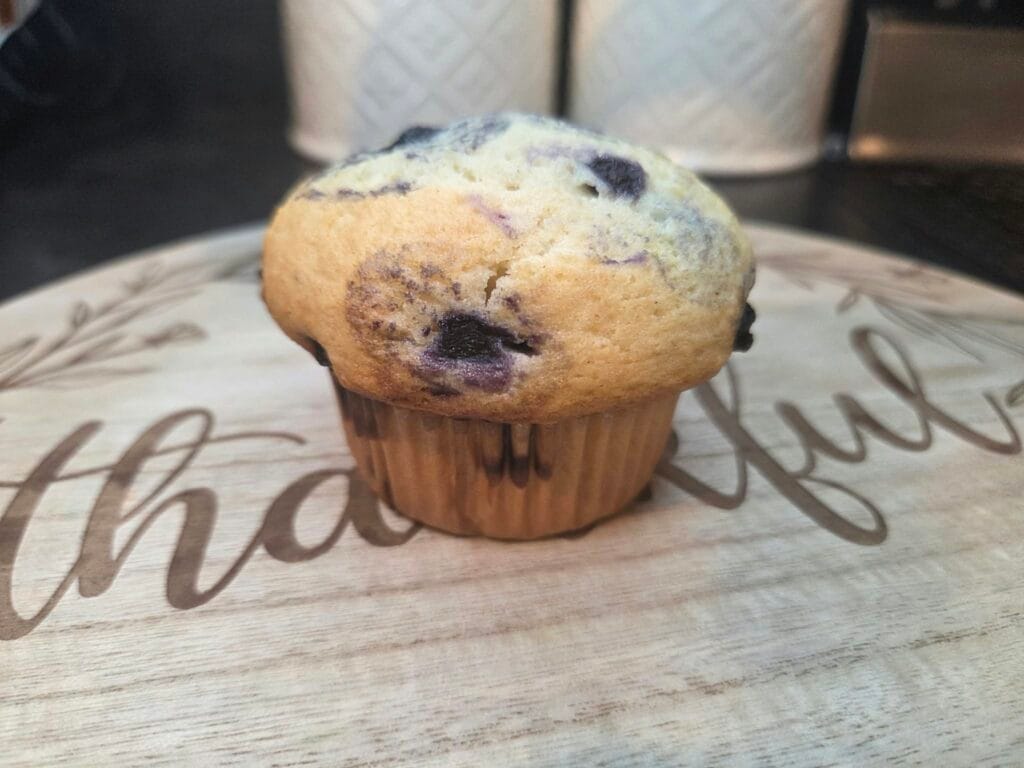 Blueberry Bakery Style Muffins