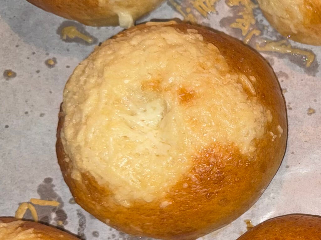 Asiago Sourdough Bagels