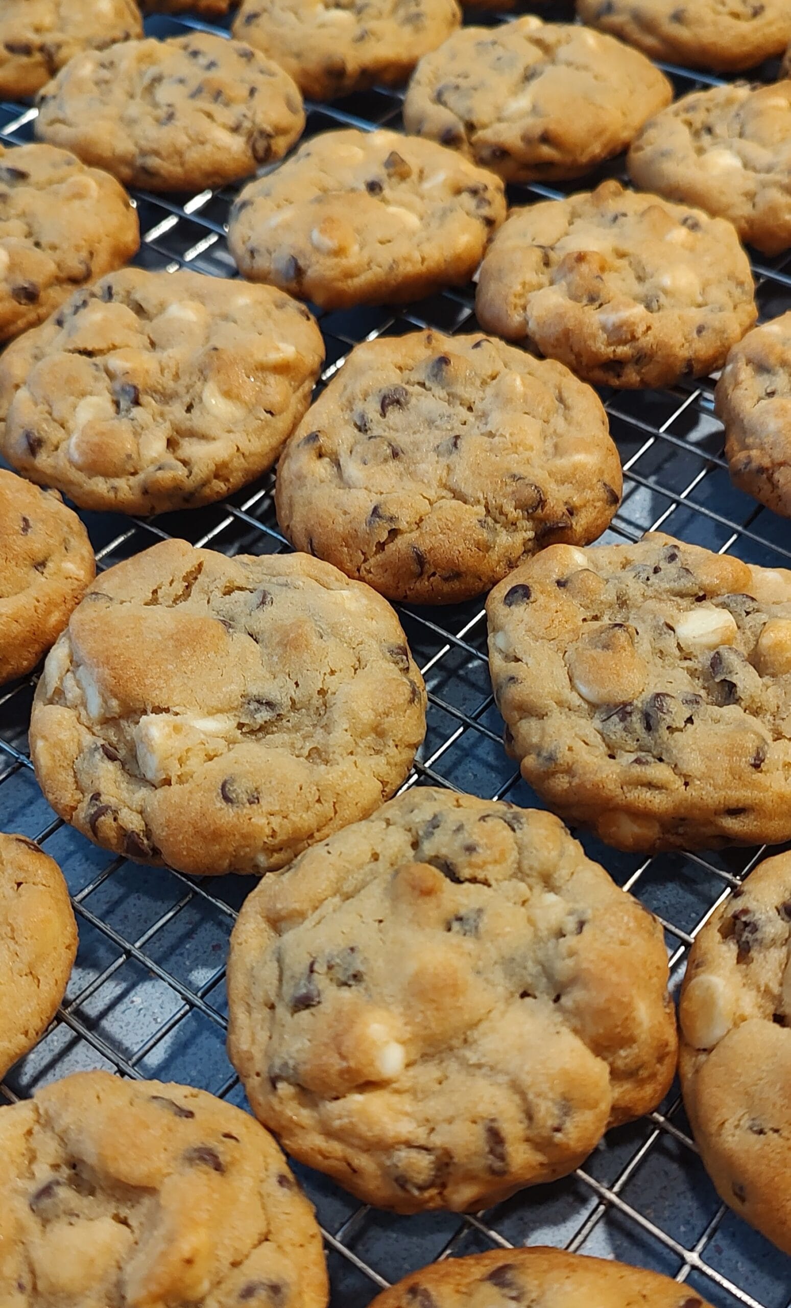 Chocolate and Vanilla Chip Cookies 3 Chocolate and Vanilla Chip Cookies - Image 2