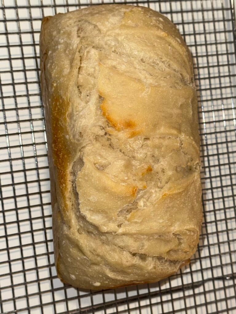Sourdough Country Loaf