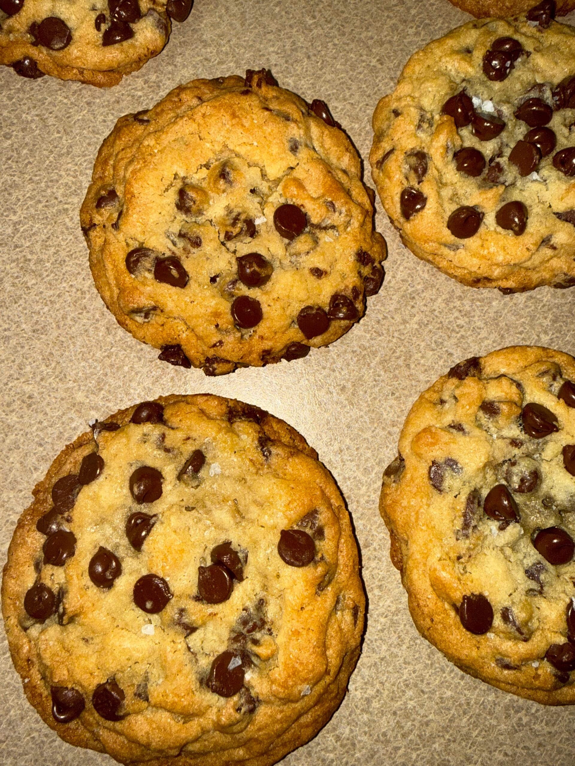 Chocolate Chip Cookie 4 Chocolate Chip Cookie - Image 3