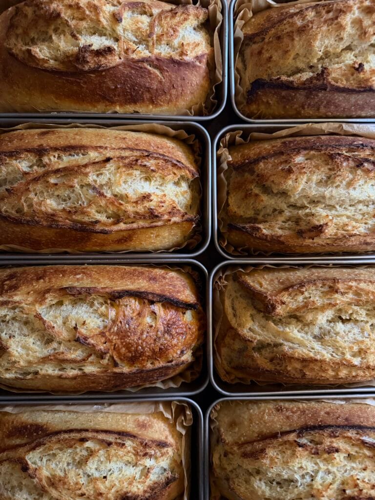 Classic Sourdough