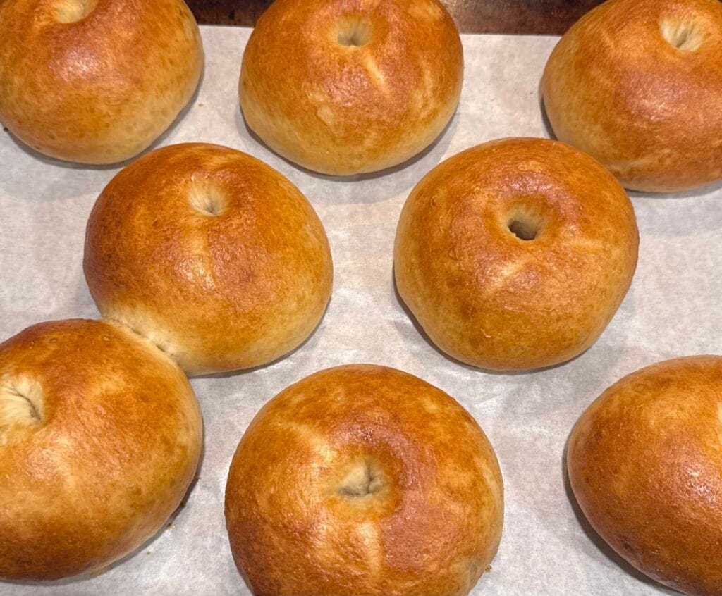 Plain Sourdough Bagels