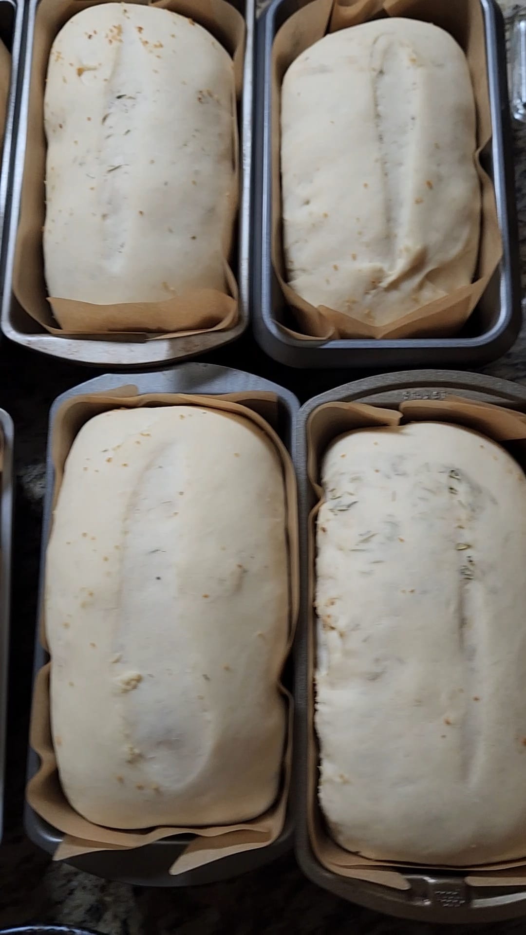 Rosemary Garlic Classic Sandwich Bread 2 Rosemary Garlic Classic Sandwich Bread
