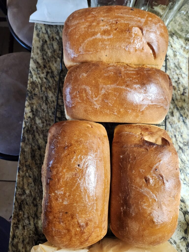 Classic White Bread
