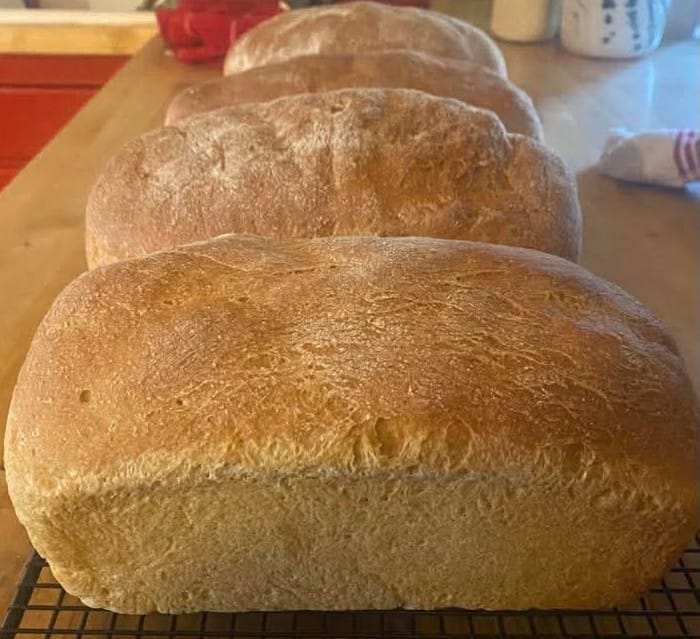 Fresh Milled Whole Wheat Loaf